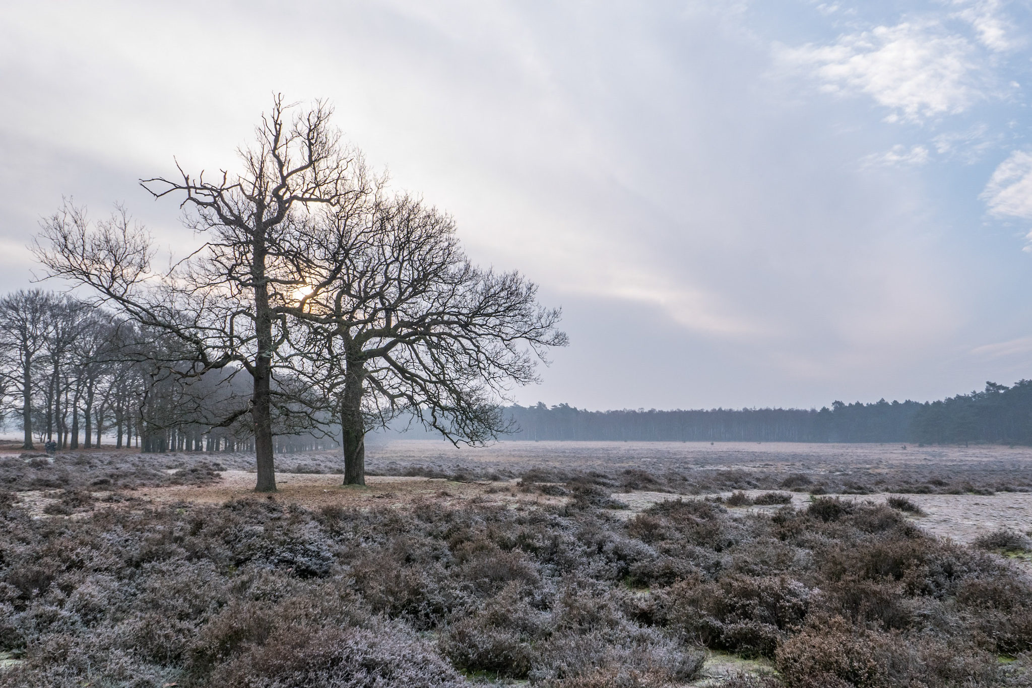 Foto van de maand — februari 2026