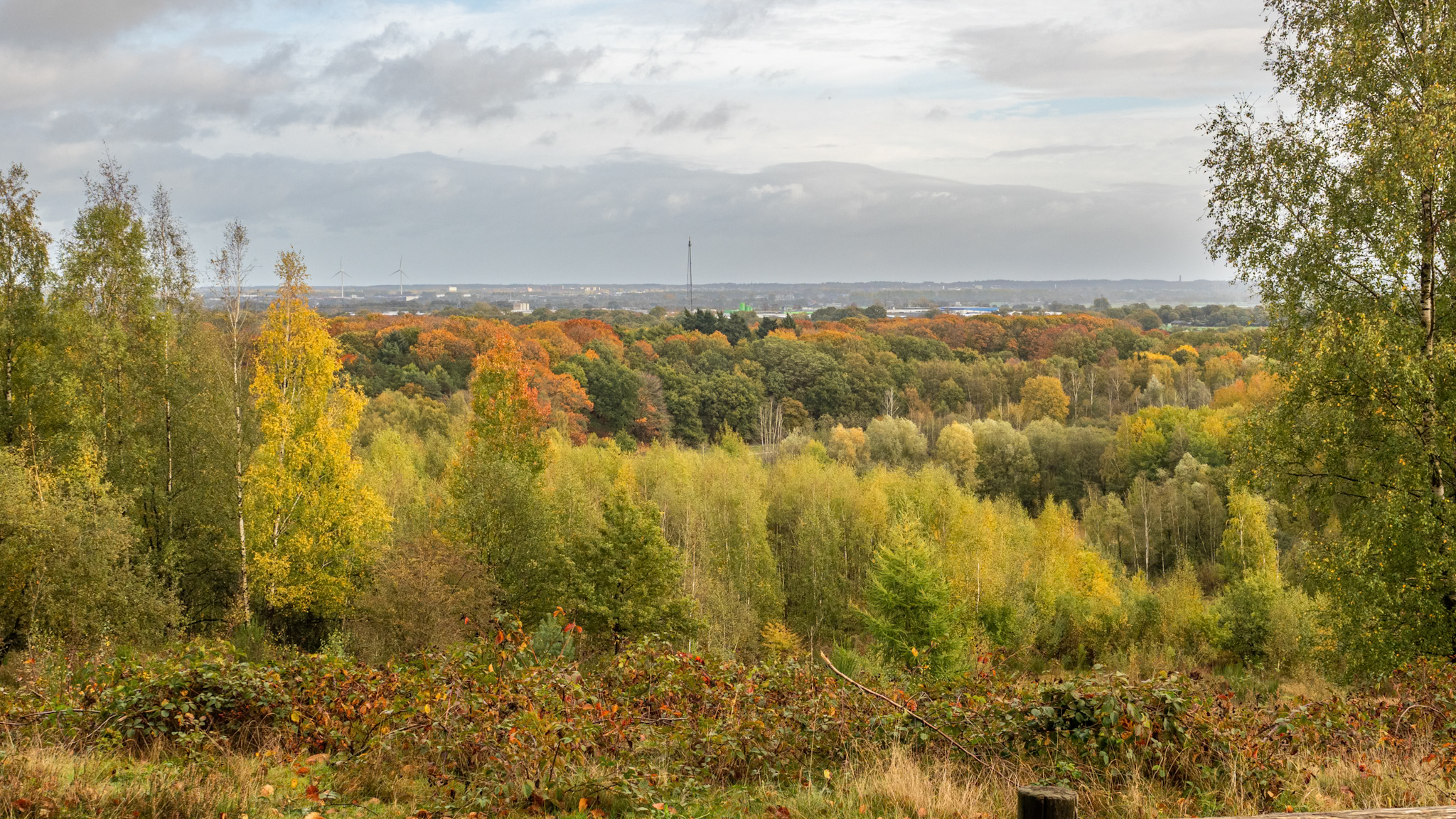 Foto van de maand — oktober 2026