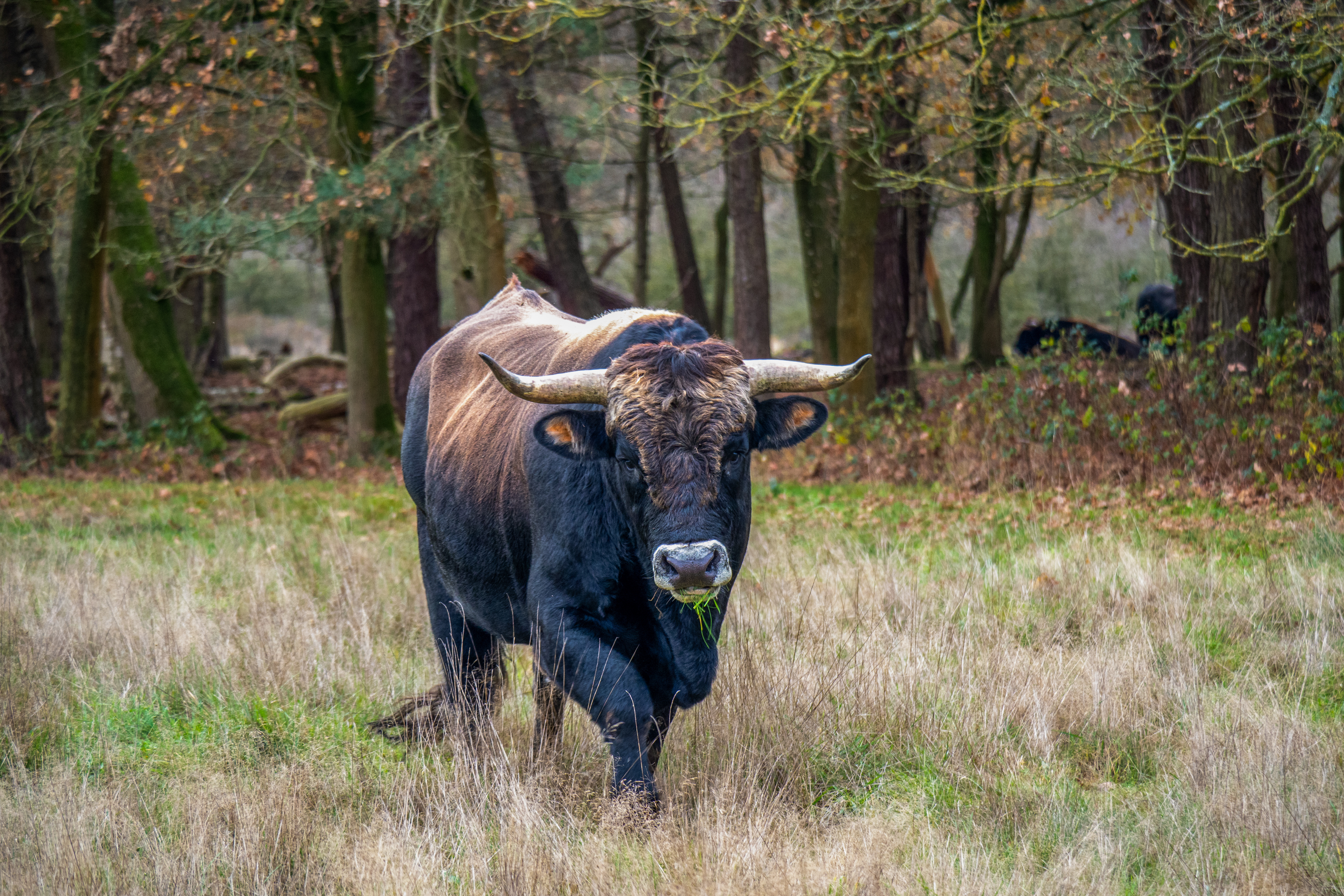 Foto van de maand — november 2026