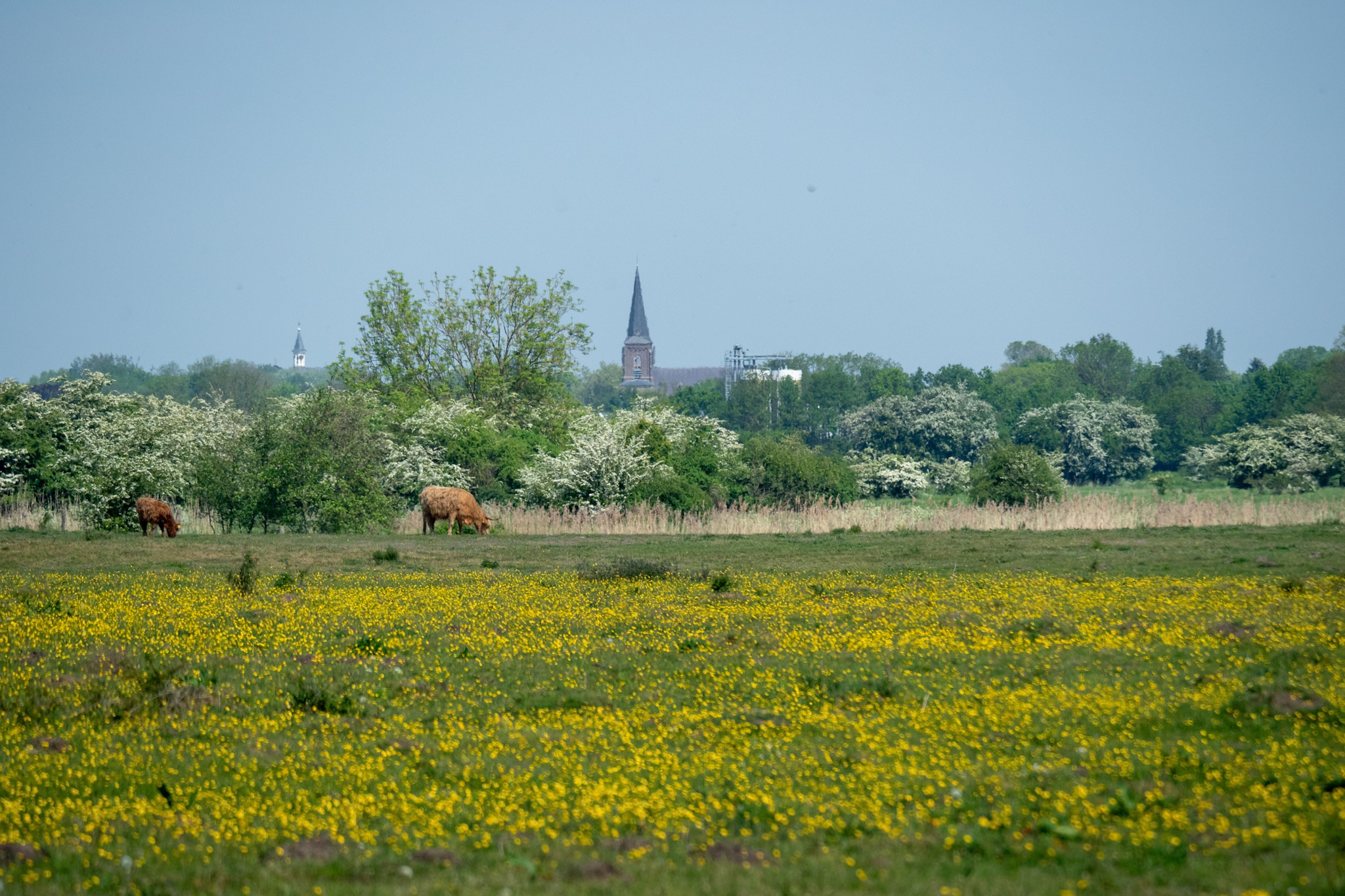 Foto van de maand — mei 2026