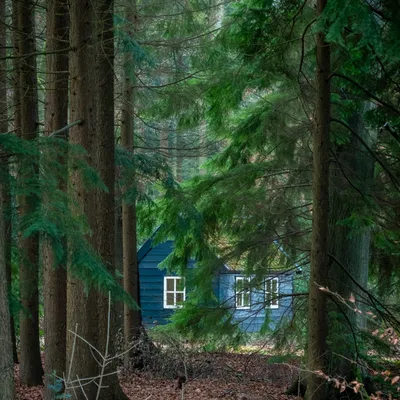 1 9AD1827C 99BC 4711 B11D C37121B89028