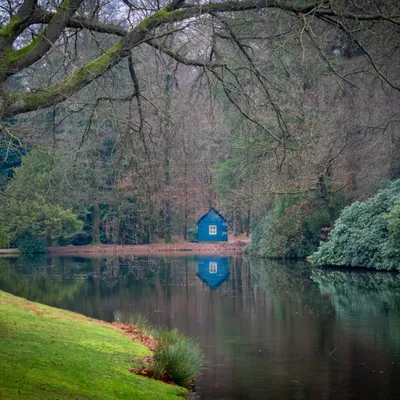 1 AE521966 7461 4A39 AD99 D860B8810B64