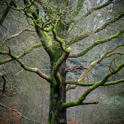 1 FDD59B58 8605 4630 91B1 5F06109EA4BD 1 201 a