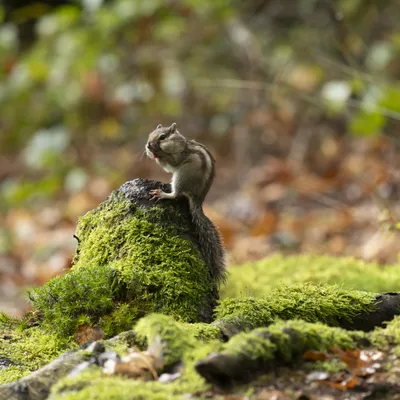 151023 Wandelbos Tilburg 8792