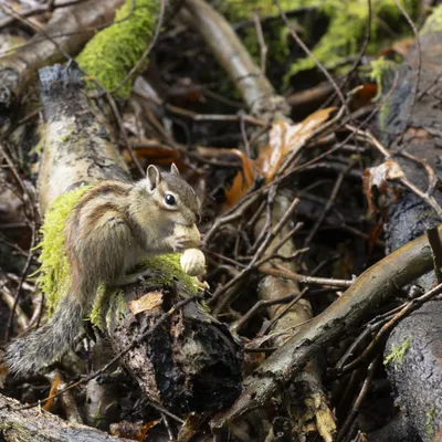 151023 Wandelbos Tilburg 8834
