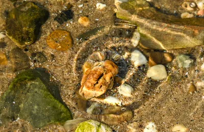 Bisonbaai in wintersfeer