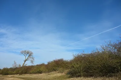Bisonbaai in wintersfeer