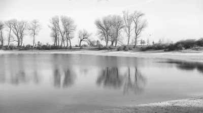 Ine_2026_02_15naamloos-3