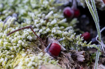 Ine_2026_02_15naamloos-3