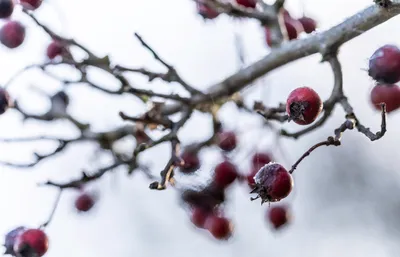 Ine_2026_02_15naamloos-3