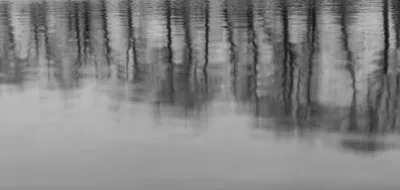 Ine_2026_02_15naamloos-3