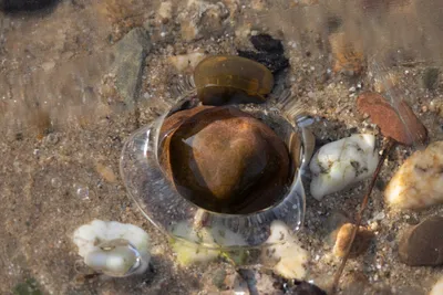 Ijs en een gaatje (2)