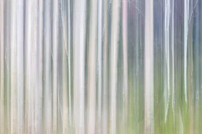 202601 Planken Wambuis