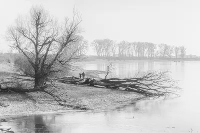 202602 Bisonbaai, Romantiek