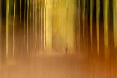 202510 Residence Rhenen