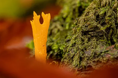 202510 Residence Rhenen