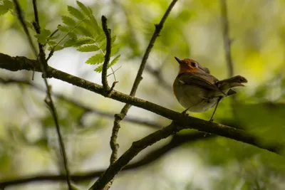 20160520-IMG_9736 (Aangepast)