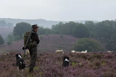 20160520-IMG_9736 (Aangepast)