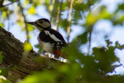 20160520-IMG_9736 (Aangepast)