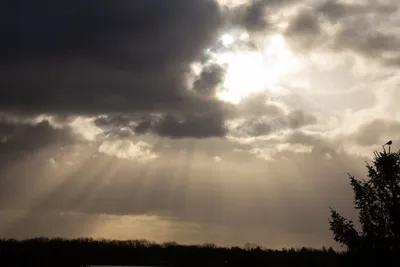 20210214-IMG_6310 (Aangepast)