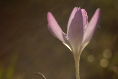 20210214-IMG_6310 (Aangepast)