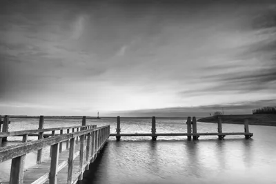 20230203-IMG_6463-bewerkt (Aangepast)