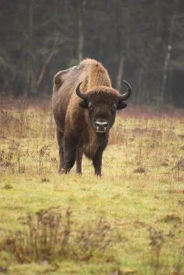 20230203-IMG_6463-bewerkt (Aangepast)