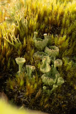 20230203-IMG_6463-bewerkt (Aangepast)