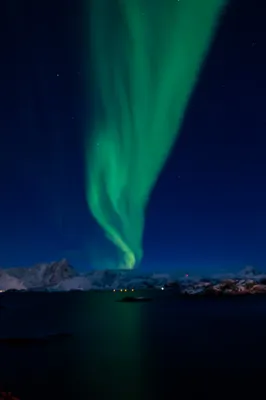 LOFOTEN REIS