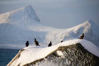 20260224-IMG_4360 (Aangepast)