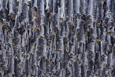 20260224-IMG_4360 (Aangepast)