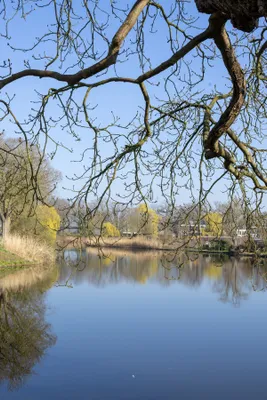 Ine_2026_03_22naamloos-64