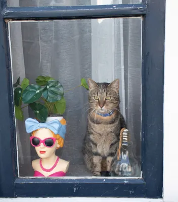 2026-03-22 Helen-Doesburg 5