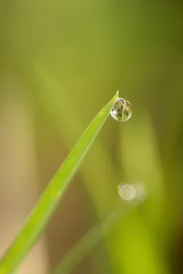 20260412-IMG_4600 (Aangepast)