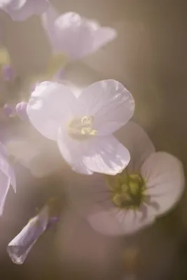 20260412-IMG_4600 (Aangepast)