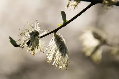 20260412-IMG_4600 (Aangepast)