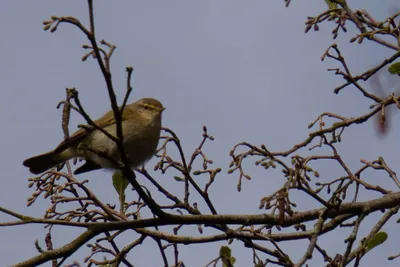 20260412-IMG_4600 (Aangepast)