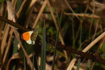 20260412-IMG_4600 (Aangepast)