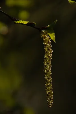 20260412-IMG_4600 (Aangepast)