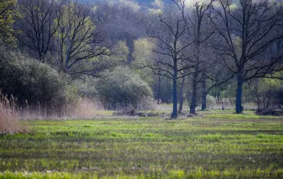 Lentekleuren in De Bruuk