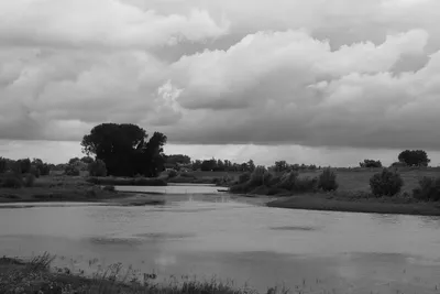 landschap