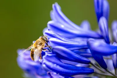 Kasteeltuin Hemmen-6773