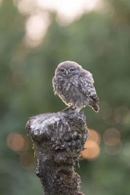 In het tegenlicht