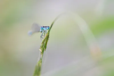 DSC_8861