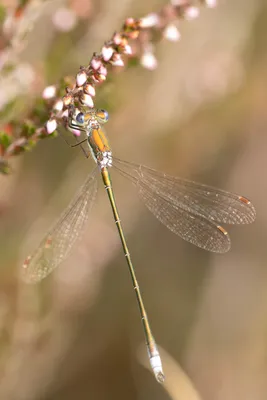 20260823-IMG_5504 (Aangepast)