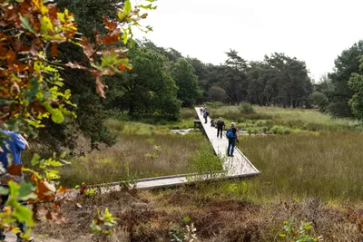 Bergen Maasduinen 01