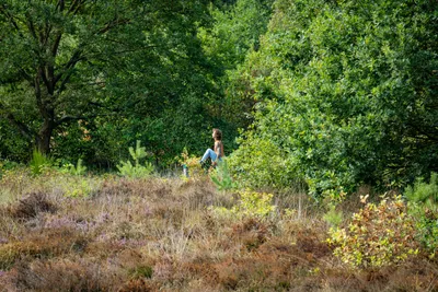 Bergen Maasduinen 01
