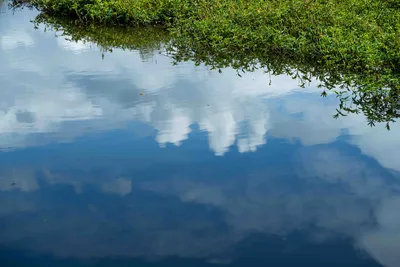 Bergen Maasduinen 01