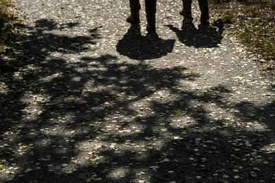 Bergen Maasduinen 01