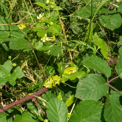 17F7BCDB D1F3 4967 8F76 B27607B68B58